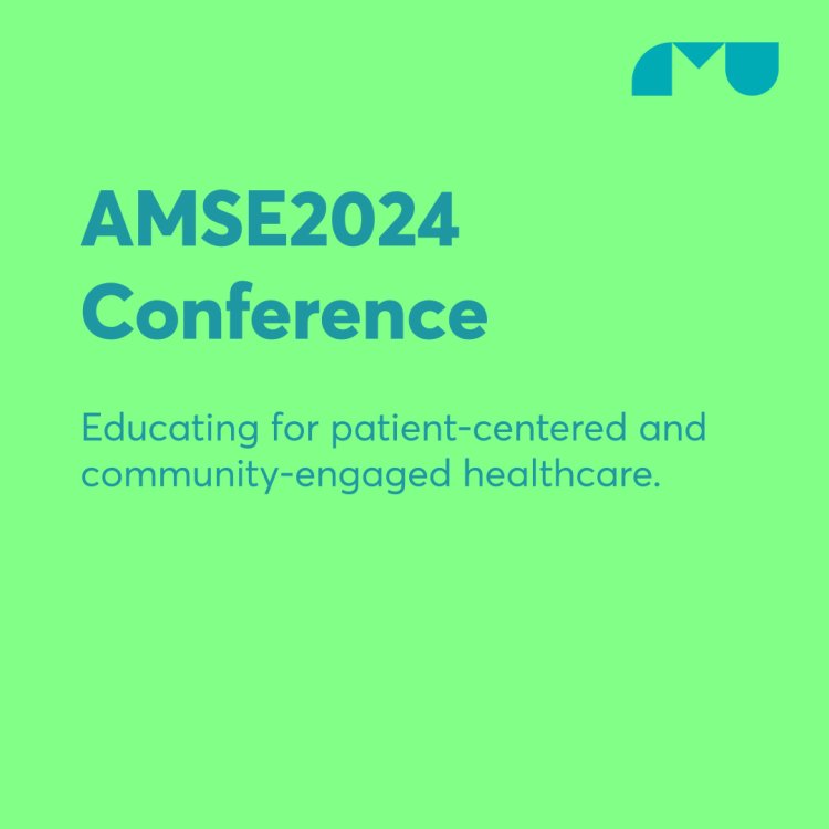 AMSE2024